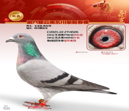 豪庭春棚決賽31名