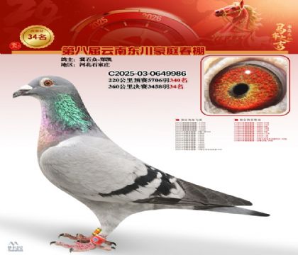 豪庭春棚決賽34名