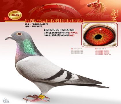 豪庭春棚決賽36名