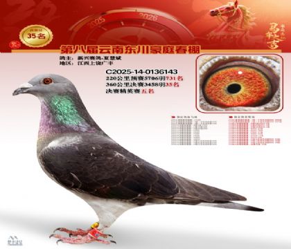 豪庭春棚決賽35名