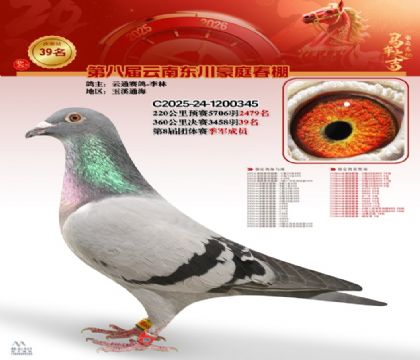 豪庭春棚決賽39名