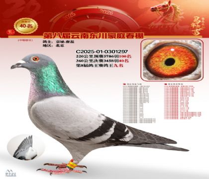 豪庭春棚決賽40名