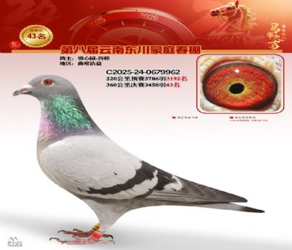 豪庭春棚決賽43名