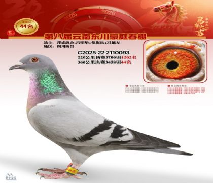 豪庭春棚決賽44名