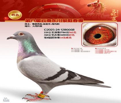 豪庭春棚決賽45名