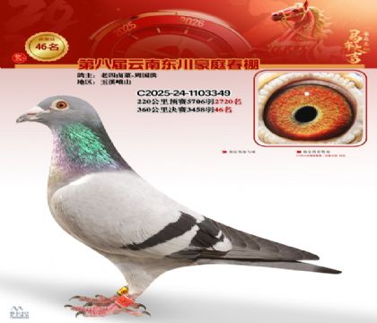 豪庭春棚決賽46名