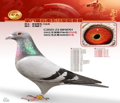 豪庭春棚決賽47名