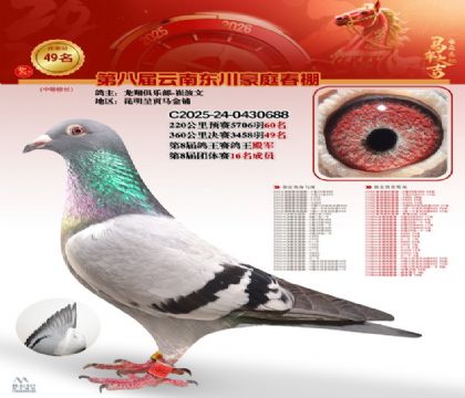 豪庭春棚決賽49名