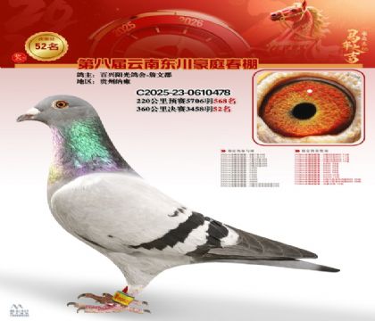 豪庭春棚決賽52名