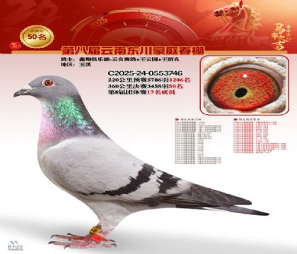 豪庭春棚決賽50名