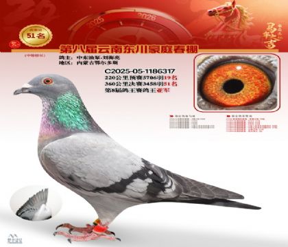 豪庭春棚決賽51名