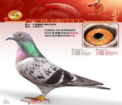 豪庭春棚決賽53名