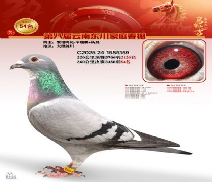 豪庭春棚決賽54名