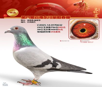 豪庭春棚決賽56名