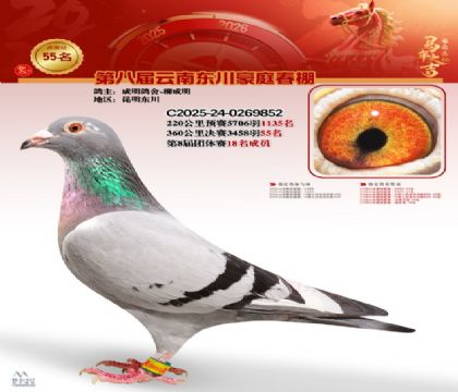 豪庭春棚決賽55名