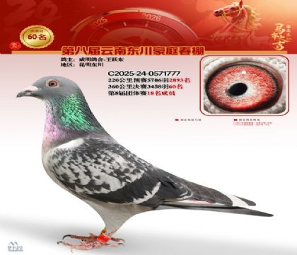 豪庭春棚決賽60名