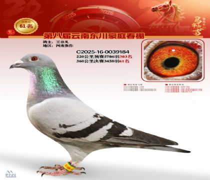 豪庭春棚決賽61名