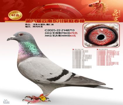 豪庭春棚決賽62名