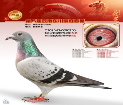 豪庭春棚決賽65名