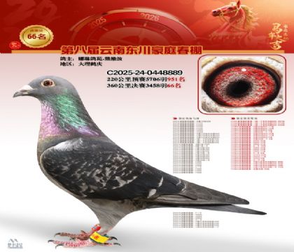 豪庭春棚決賽66名