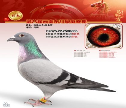 豪庭春棚決賽67名