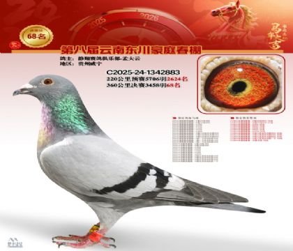 豪庭春棚決賽68名