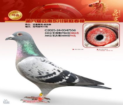 豪庭春棚決賽70名