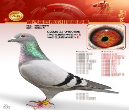 豪庭春棚決賽71名