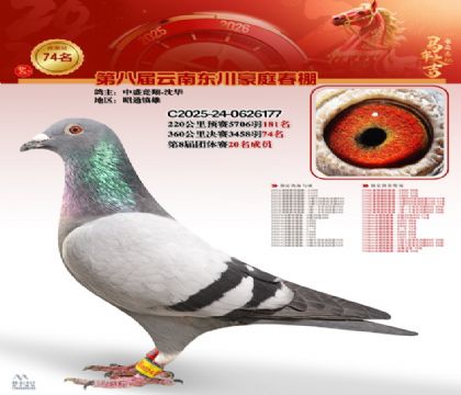 豪庭春棚決賽74名