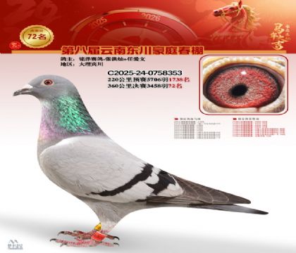 豪庭春棚決賽72名