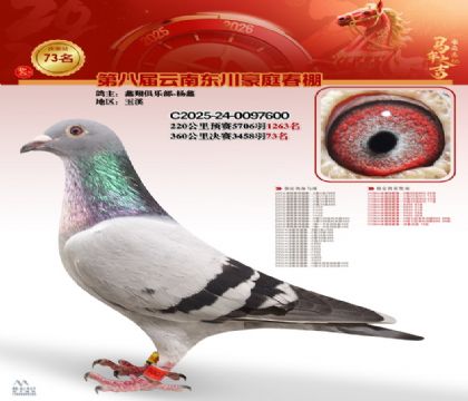 豪庭春棚決賽73名