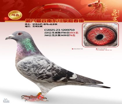 豪庭春棚決賽76名