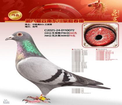 豪庭春棚決賽75名