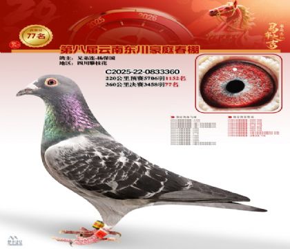 豪庭春棚決賽77名