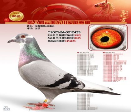 豪庭春棚決賽80名