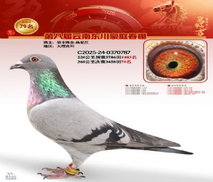 豪庭春棚決賽79名