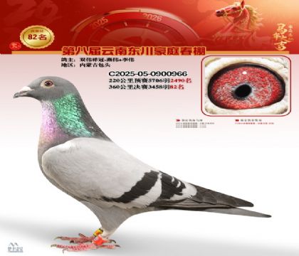 豪庭春棚決賽82名