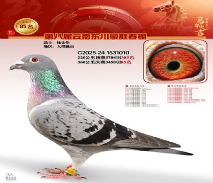 豪庭春棚決賽85名