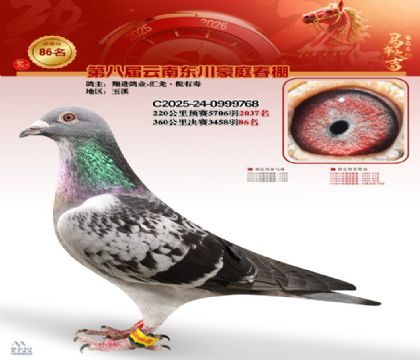 豪庭春棚決賽86名