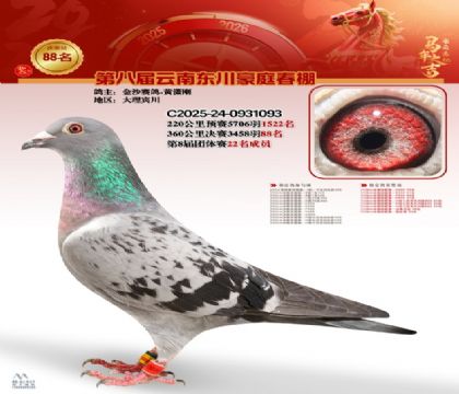 豪庭春棚決賽88名