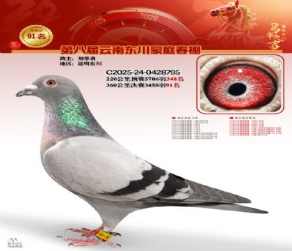 豪庭春棚決賽91名