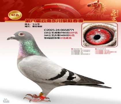 豪庭春棚決賽92名