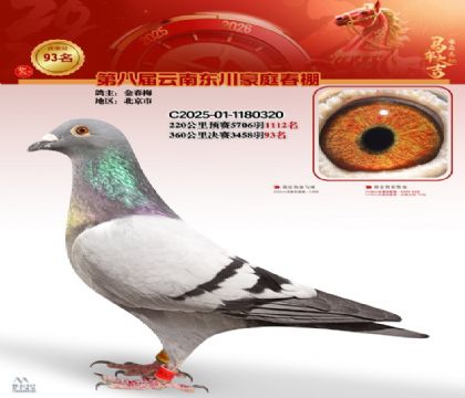 豪庭春棚決賽93名