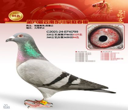 豪庭春棚決賽94名