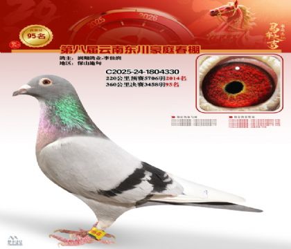 豪庭春棚決賽95名