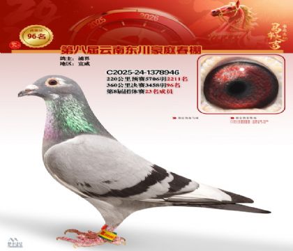 豪庭春棚決賽96名