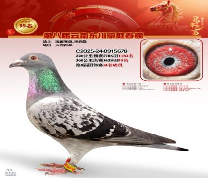 豪庭春棚決賽99名