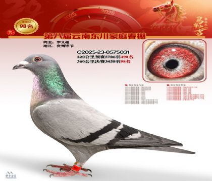 豪庭春棚決賽98名