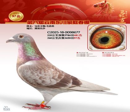 豪庭春棚決賽97名