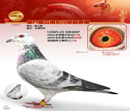 豪庭春棚決賽100名